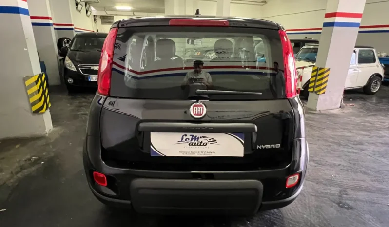 
								Fiat Panda 1.0 firefly hybrid s&s 70cv 5p.ti full									